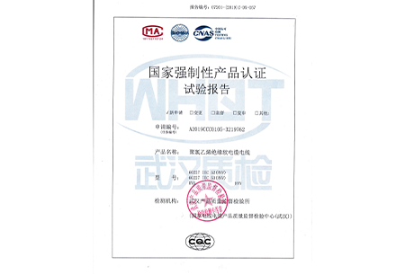 60227 IEC 52(RVV) RVS