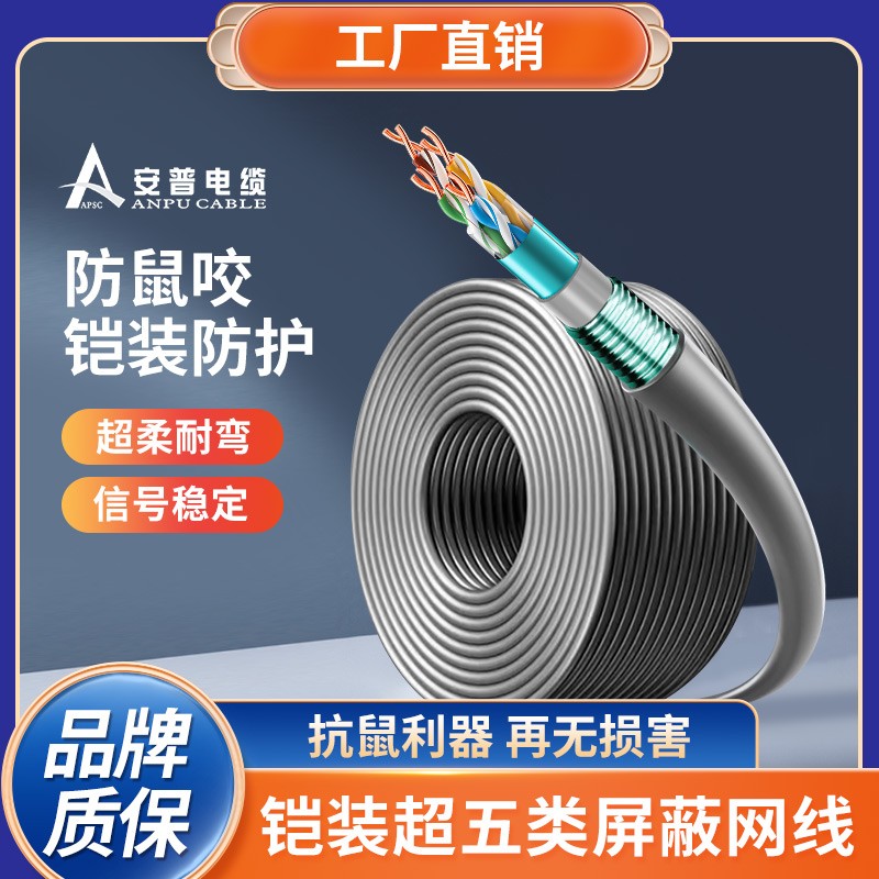 安普超五類鎧裝網(wǎng)線防鼠咬鋼帶防曬凍室外抗老化可地埋鎧甲網(wǎng)絡(luò)線